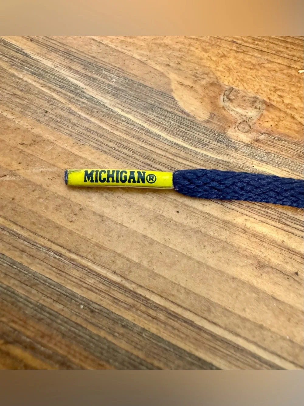 Nike Mens University Michigan Sneakers